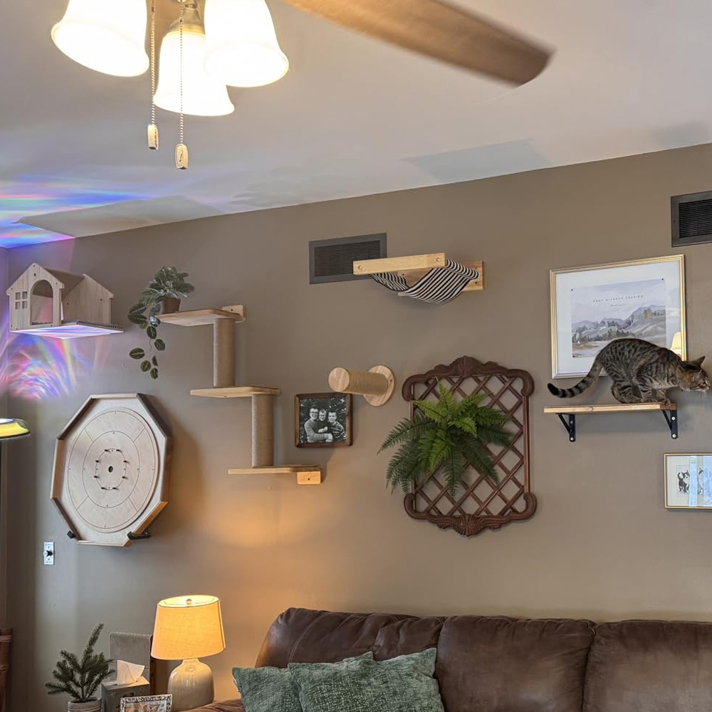 猫用家具 無垢材製吊り下げ式ブリッジ 壁掛け式サイザル麻製猫 - Furniture Paradise & Hardware Ghaziabad By Owner のレビューと価格